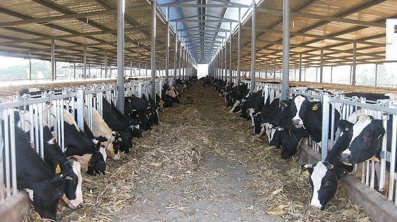 艾思捷定制款PGV035系列減速機--應用在畜牧業、飼料行業